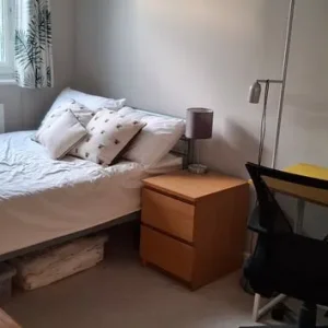 Leith modern flat- Student/Postgraduate