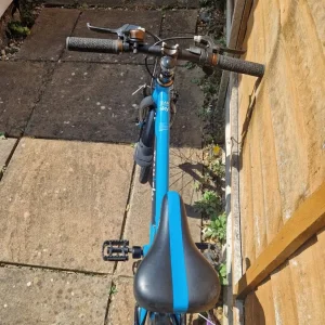 Frog 52 bike "Team Sky" - Image 2