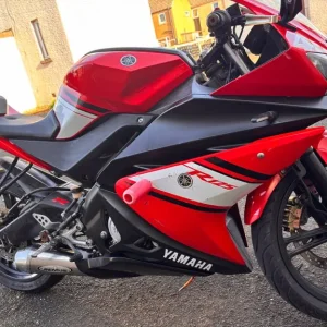 Yamaha, YZF, 2010, 124 (cc)