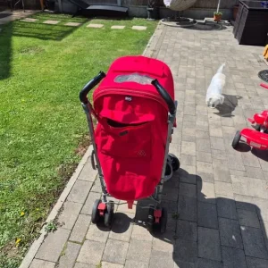 Mclaren Buggy - Image 4