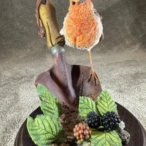 Robin On Trowel CA 484