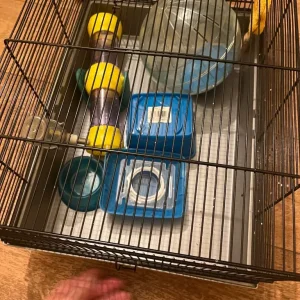 Hamster cage toys no offer - Image 3