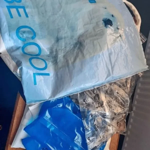 Free cool bag and ice packs