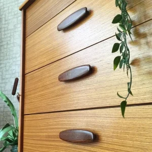 Vintage Mid Century Teak Chest of Drawers by Austinsuite - Image 2