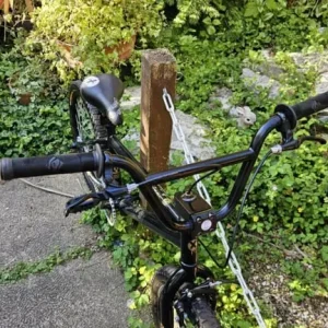 Xrated Spine Kids BMX (Serviced) - Image 2