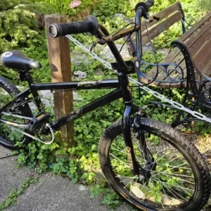 Xrated Spine Kids BMX (Serviced) - Image 5