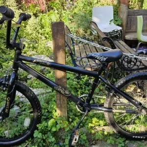 Xrated Spine Kids BMX (Serviced) - Image 7