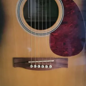 Countryman acoustic Guitar - Image 6