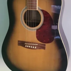 Countryman acoustic Guitar - Image 7