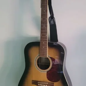 Countryman acoustic Guitar - Image 8