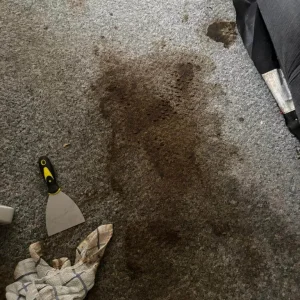 Carpet cleaner - Image 5