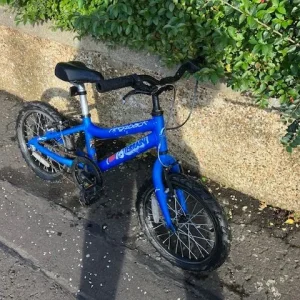 Ridgeback MX16 Terrain kid's bike.