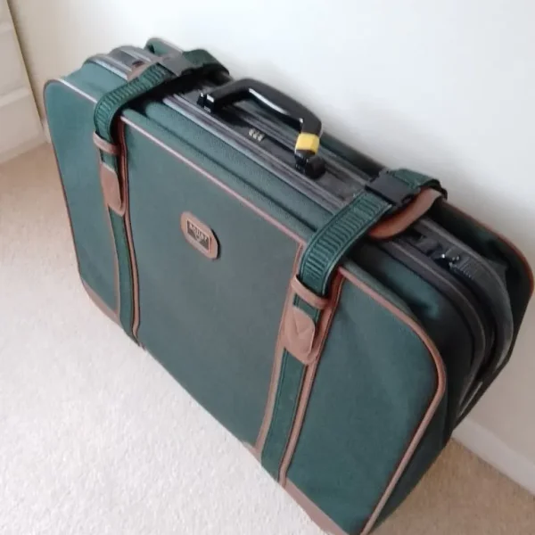 Large Antler Suitcase