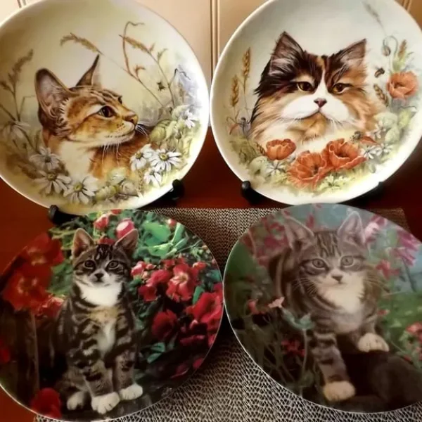 Super selection of cat themed plates, see description for makers etc £2 each 2 for £3