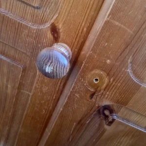 Wood Wardrobe - Image 3