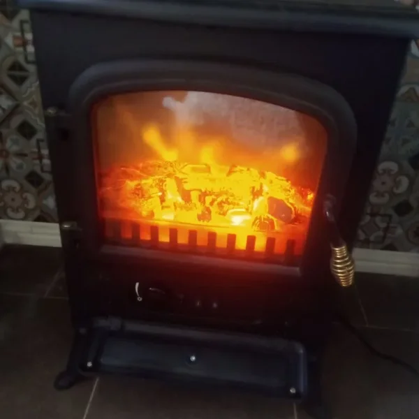 Electric fire