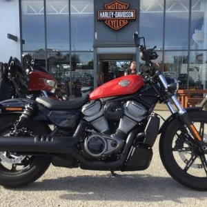 2024 Harley-Davidson Nightster 975 RH975 Solid Red PETROL Manual