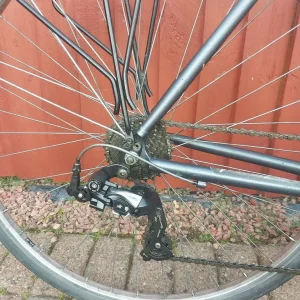 Adult ridgeback rapide speed bike for sale - Image 4