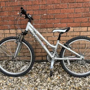 Ridgeback Destiny 24-inch bike for girls