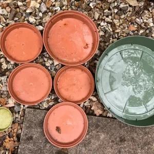 Plant drip trays - Image 2