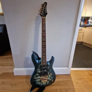 Electric Guitar