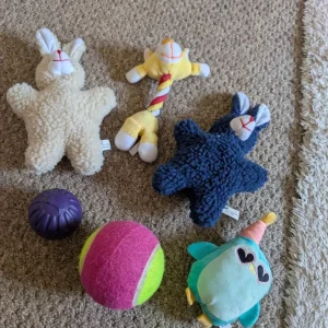 Assorted Dog Toys for Sale - Image 2