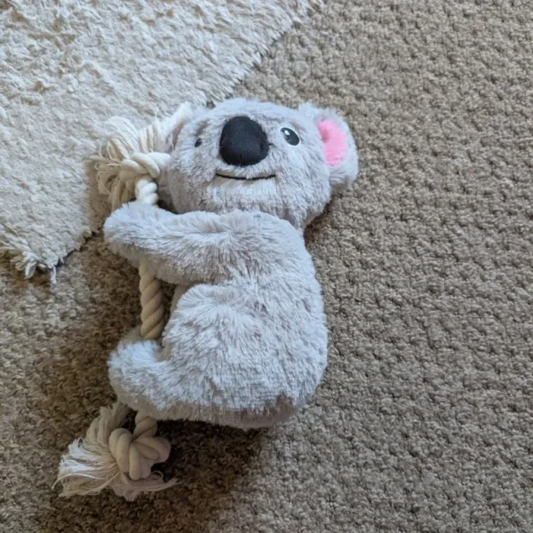 Assorted Dog Toys for Sale