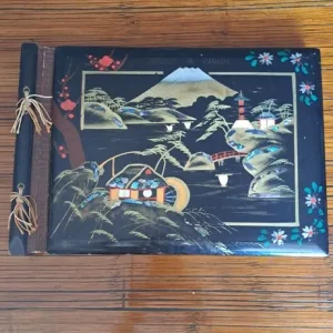 Vintage Oriental photo album
