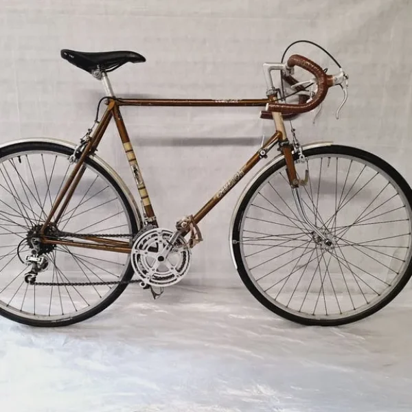 🚲🚲Pristine Vintage CARLTON Road Bike 10 Speed L Frame 700C Wheels Warranty Serviced 🚲