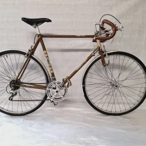 🚲🚲Pristine Vintage CARLTON Road Bike 10 Speed L Frame 700C Wheels Warranty Serviced 🚲
