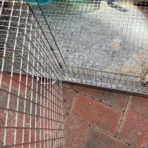 Degu / Chinchilla/ Rat Cage (L92xH55xW46 - Image 2