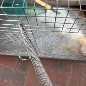 Degu / Chinchilla/ Rat Cage (L92xH55xW46 - Image 3