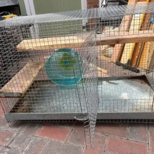 Degu / Chinchilla/ Rat Cage (L92xH55xW46 - Image 4