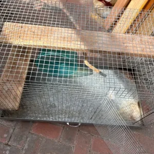 Degu / Chinchilla/ Rat Cage (L92xH55xW46 - Image 7