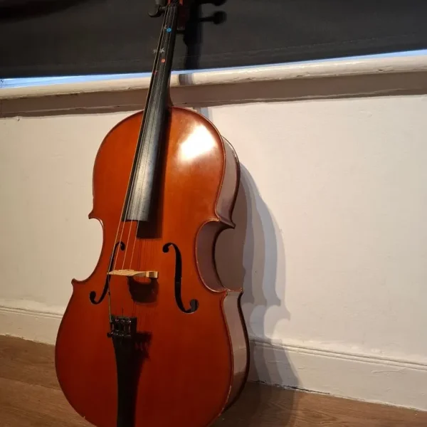 Virtuosi 1/4 cello outfit
