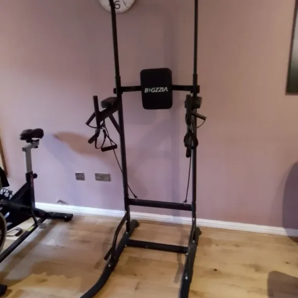 BIGZZIA DIP STATION AND PULL UPS