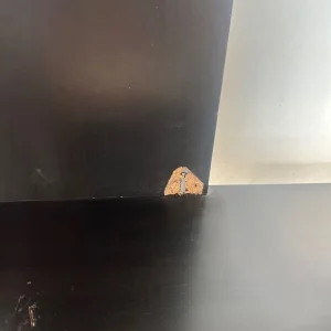 Free Kallax tv stand Ikea - Image 2