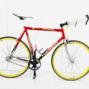 Hu FONDRIEST Size/L Super LW Single Speed Road Bike Fully Serviced