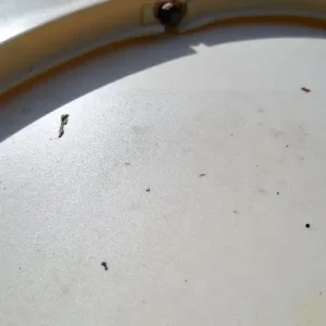 Playhouse treehouse swing slide - Image 8