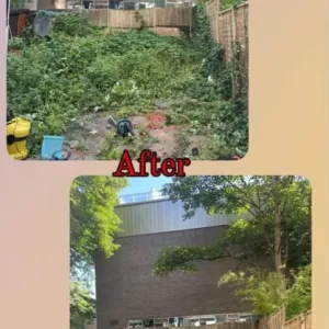 Rubbish collection, Waste removal, House office Clearance,Gardening service,Rubbish Removal service. - Image 5