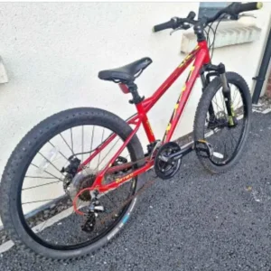 Carrera jr Blast mountain bike