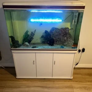 FISH TANK AQUARIUM FOR SALE £300 - Image 4