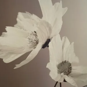 Floral picture - Image 2