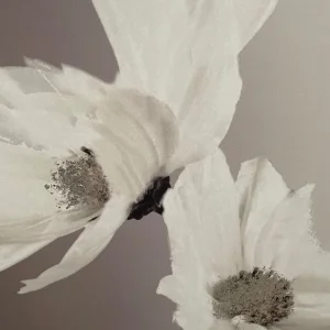 Floral picture - Image 3