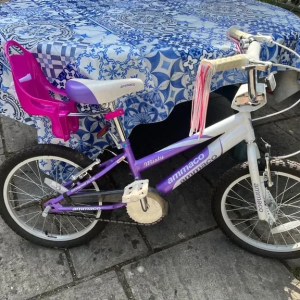 BMX 18 inch wheels Ammaco Misty boys girls bike