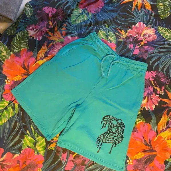 H&M Turquoise Graphic Shorts – 14 Years (M)