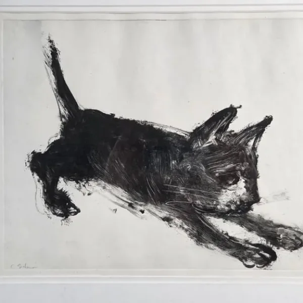 Chris Salmon cat etching, artist's proof