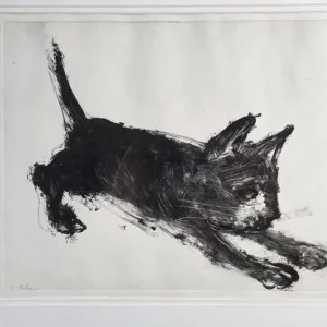 Chris Salmon cat etching, artist's proof