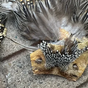 Jungle cock - Image 4