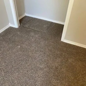 brand new carpet